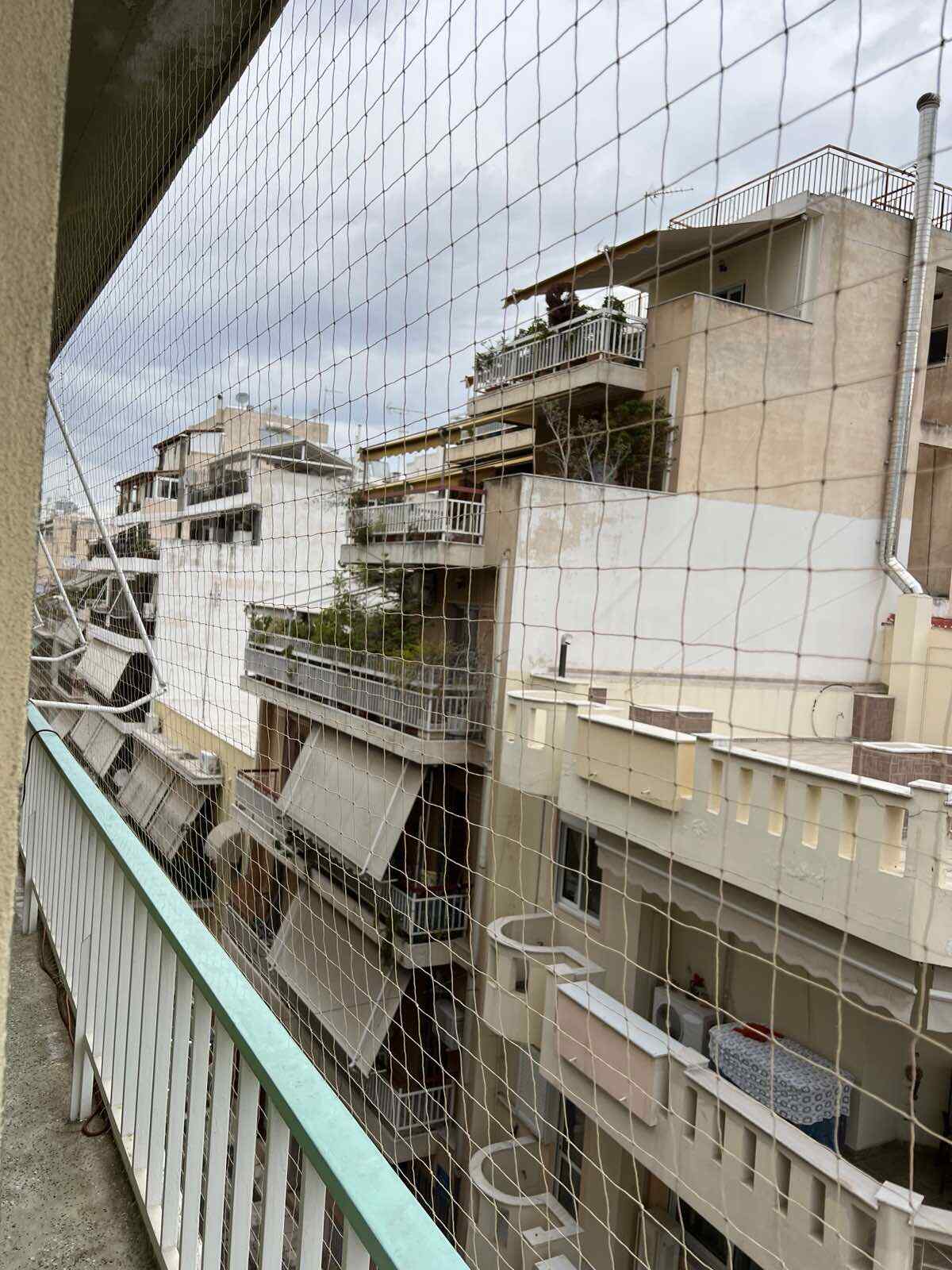 Εξειδικευμένο συνεργείο τοποθετεί ανθεκτικό δίχτυ απώθησης περιστεριών